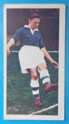 Frank bluntstone chelsea - frank,
